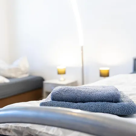 Flex Aparts - Möblierte 2-raum Zentrumsnah In Apartment Zwickau