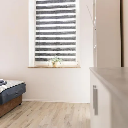 Flex Aparts - Möblierte 2-raum Zentrumsnah In Apartment Zwickau