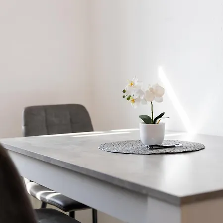 Flex Aparts - Möblierte 2-raum Zentrumsnah In Apartment Zwickau