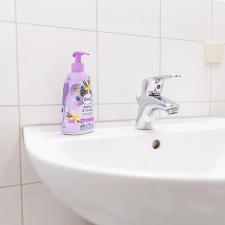 Flex Aparts - Möblierte 2-raum Zentrumsnah In * Zwickau